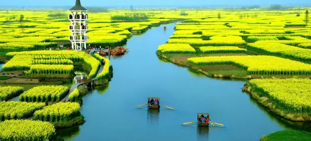 2016年農(nóng)業(yè)政策會(huì)有哪些重大變化？